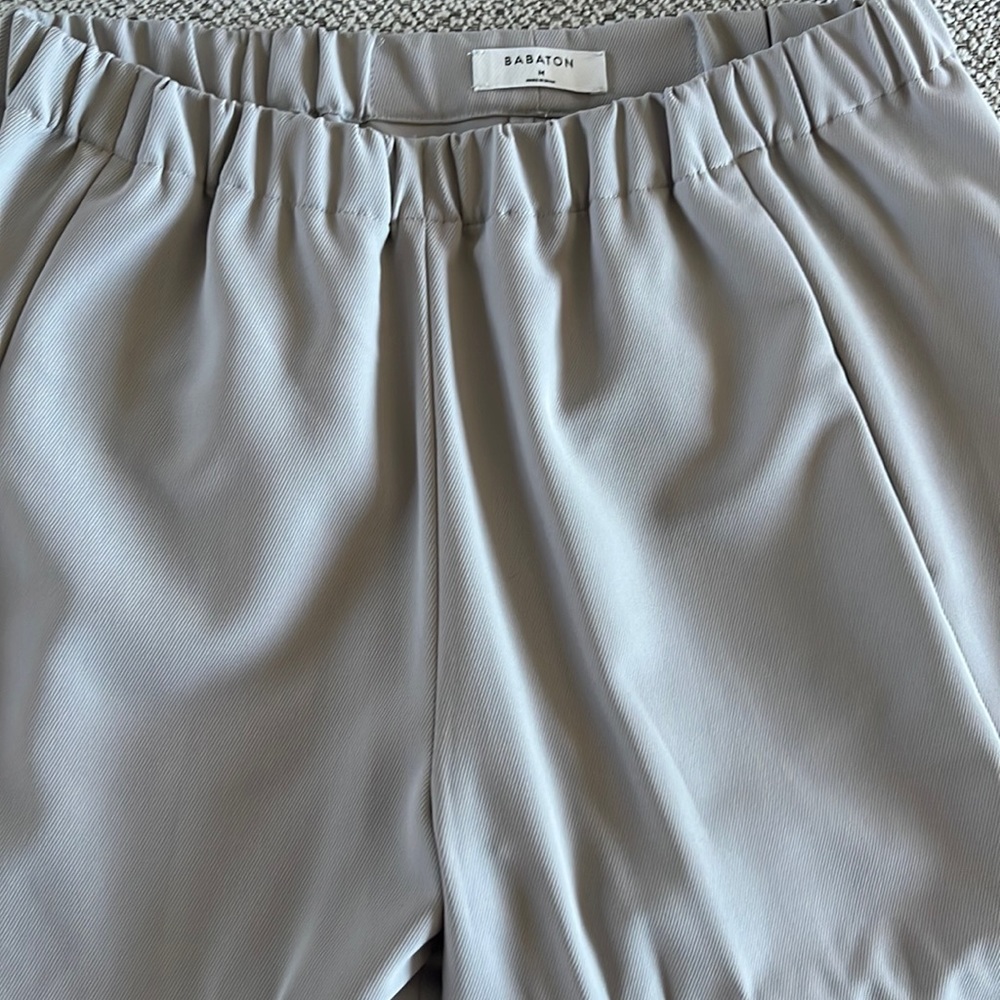 Aritzia Babaton Elastic Trouser.